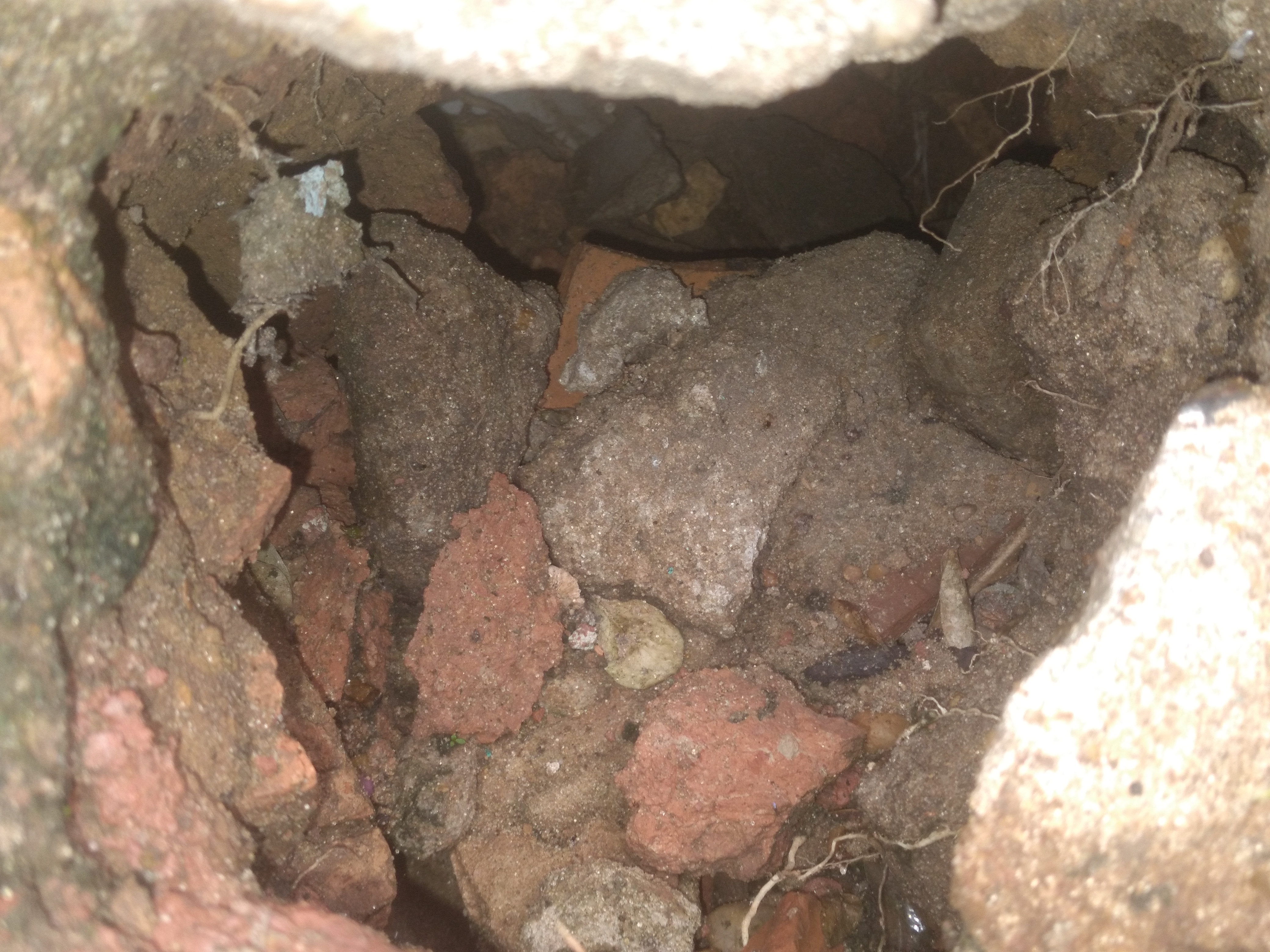 Cova de Quirate .jpg