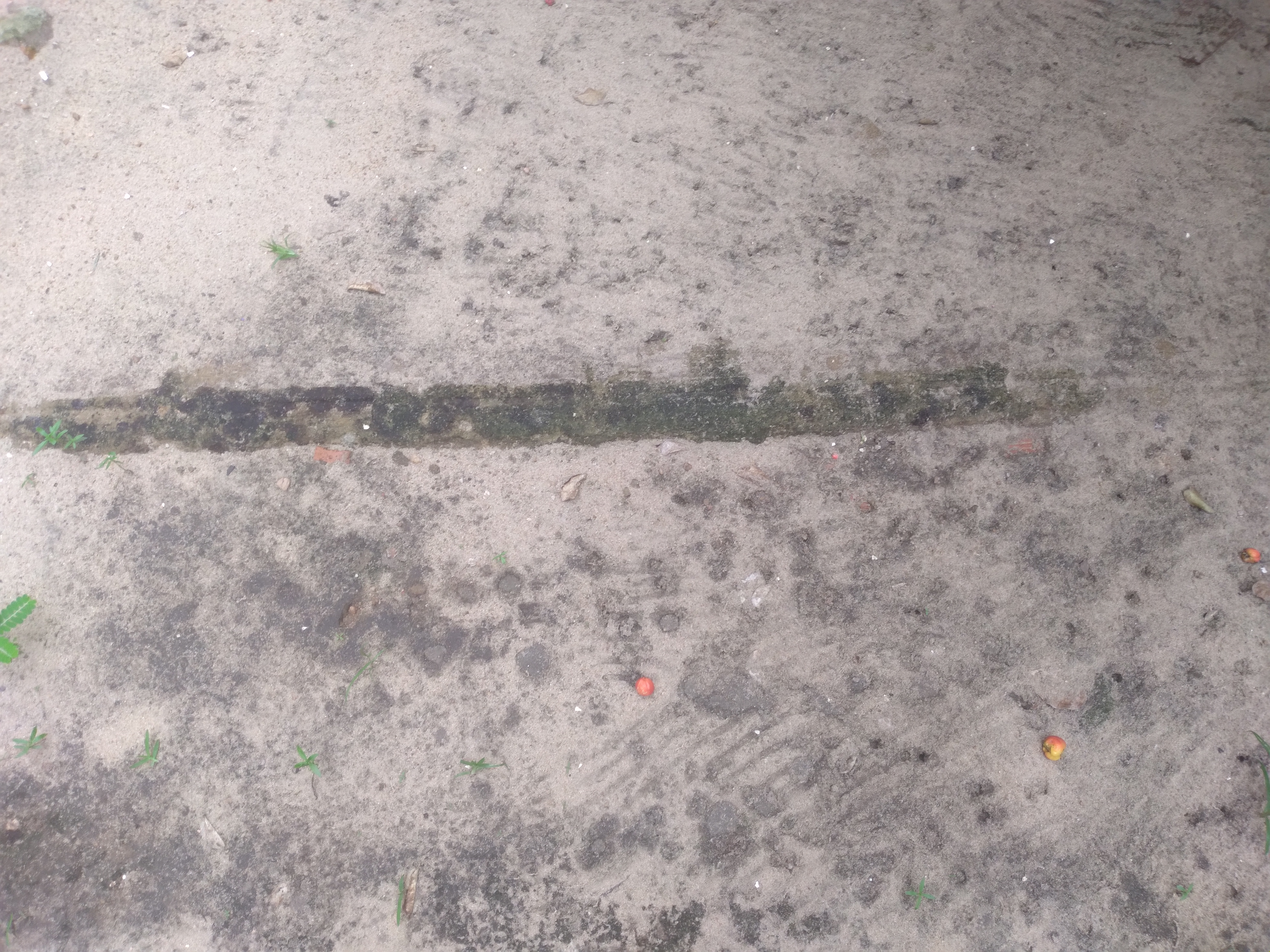 Deserto de Quirate (1).jpg