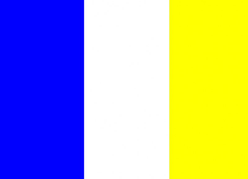 Arquivo:FLAGFNP.png